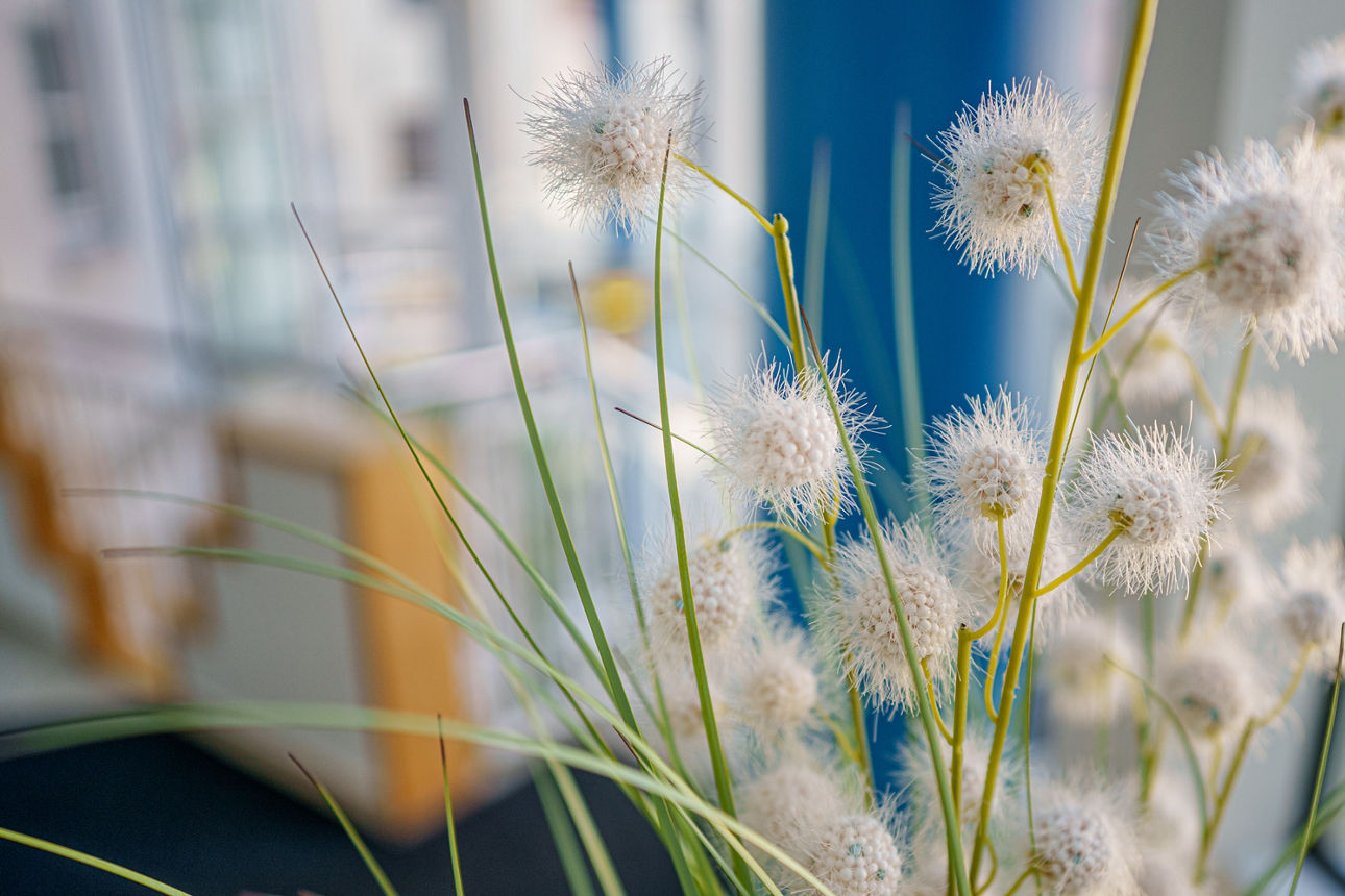 Blumenstrauß vor einem Fenster