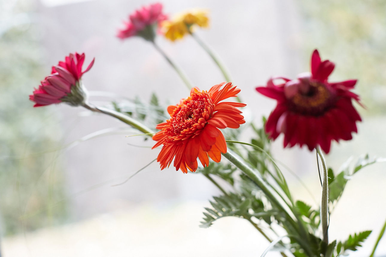 Blumen