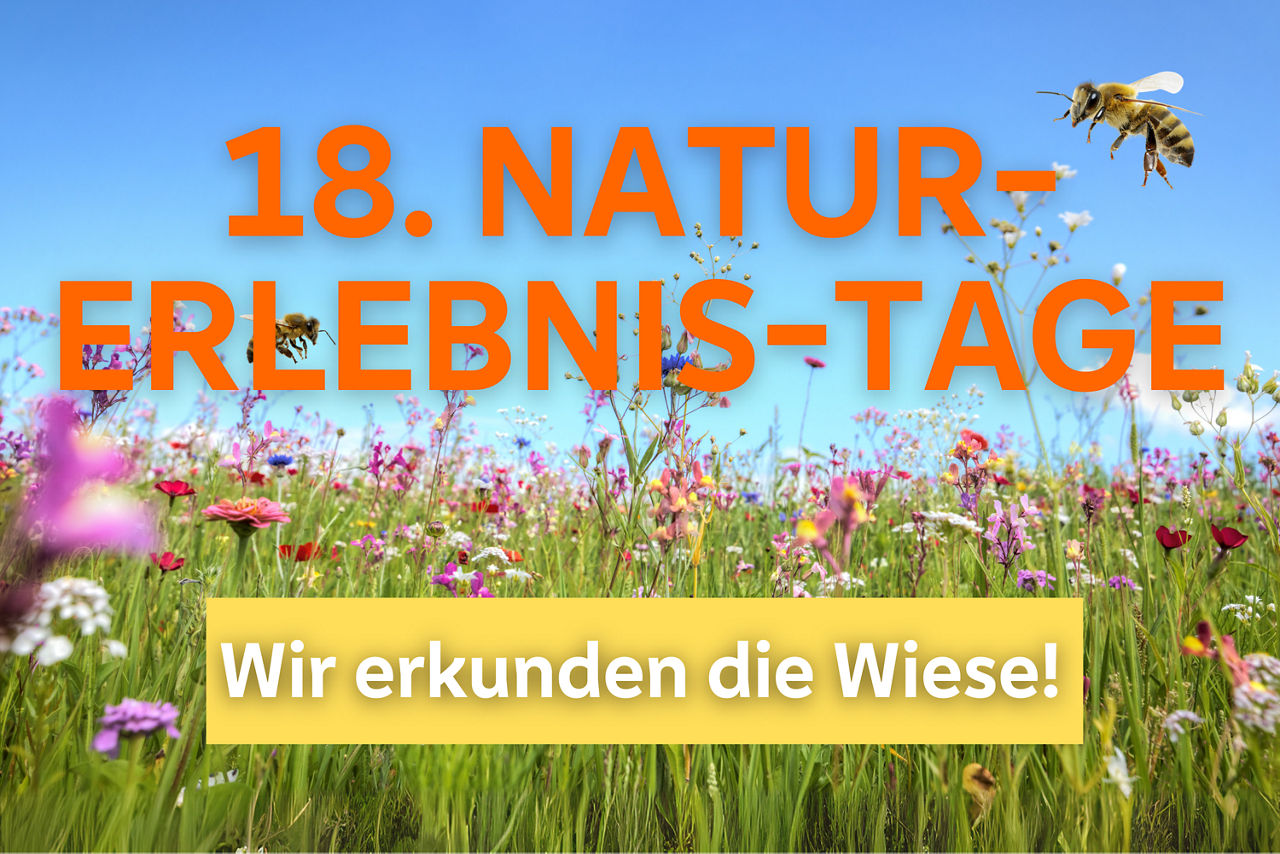 18. Naturerlebnistage - Anmeldung