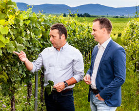 Zwei Männer stehen in einem Weinberg, einer zeigt auf die Reben. Im Hintergrund sind grüne Felder und Berge zu sehen.
