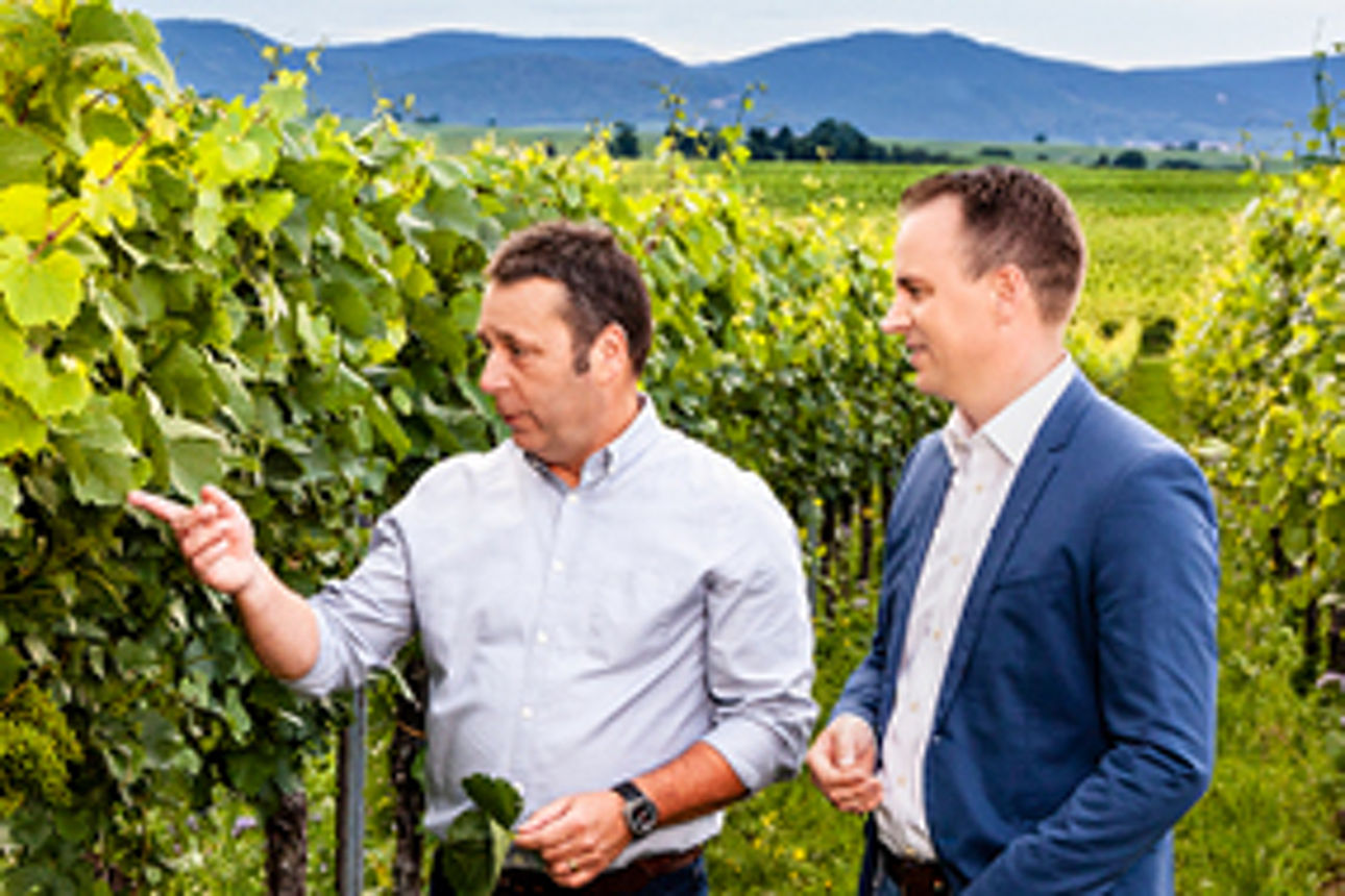 Zwei Männer stehen in einem Weinberg, einer zeigt auf die Reben. Im Hintergrund sind grüne Felder und Berge zu sehen.