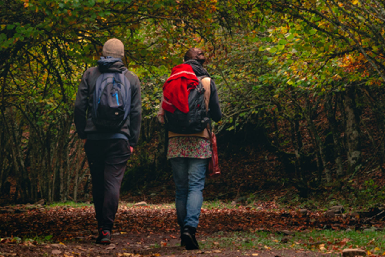 Mann und Frau machen Wanderung im Wald