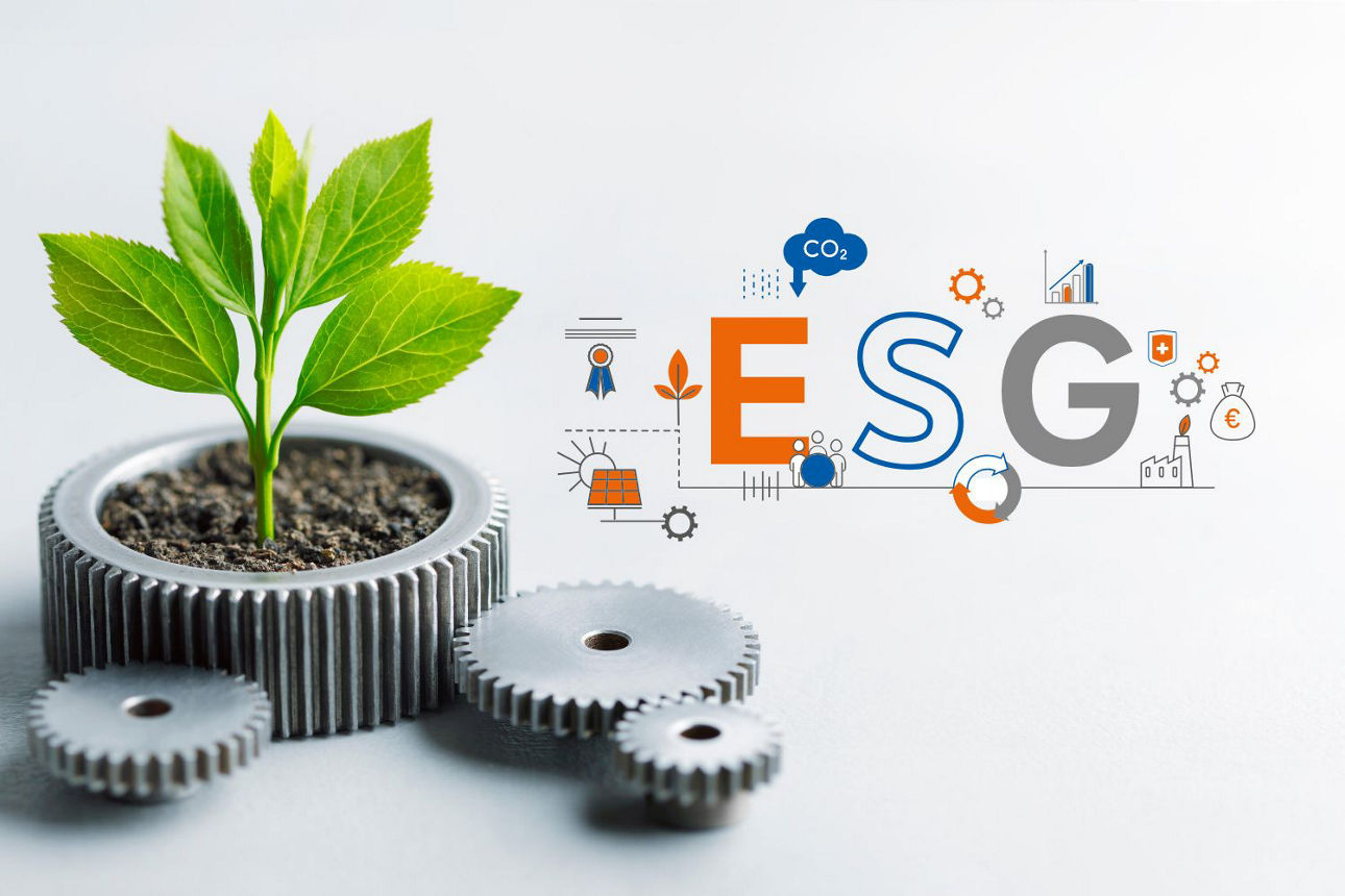 Pflanze wächst aus Zahnrad mit Schriftzug ESG