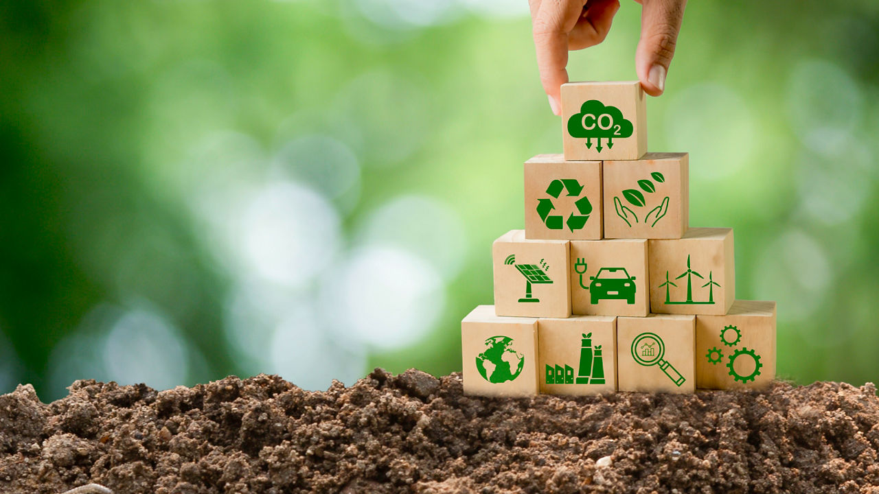 Sustainable growth in real estate, this image features a model house with coins and a young plant sprouting from the soil, embodying the concept of a growing investment