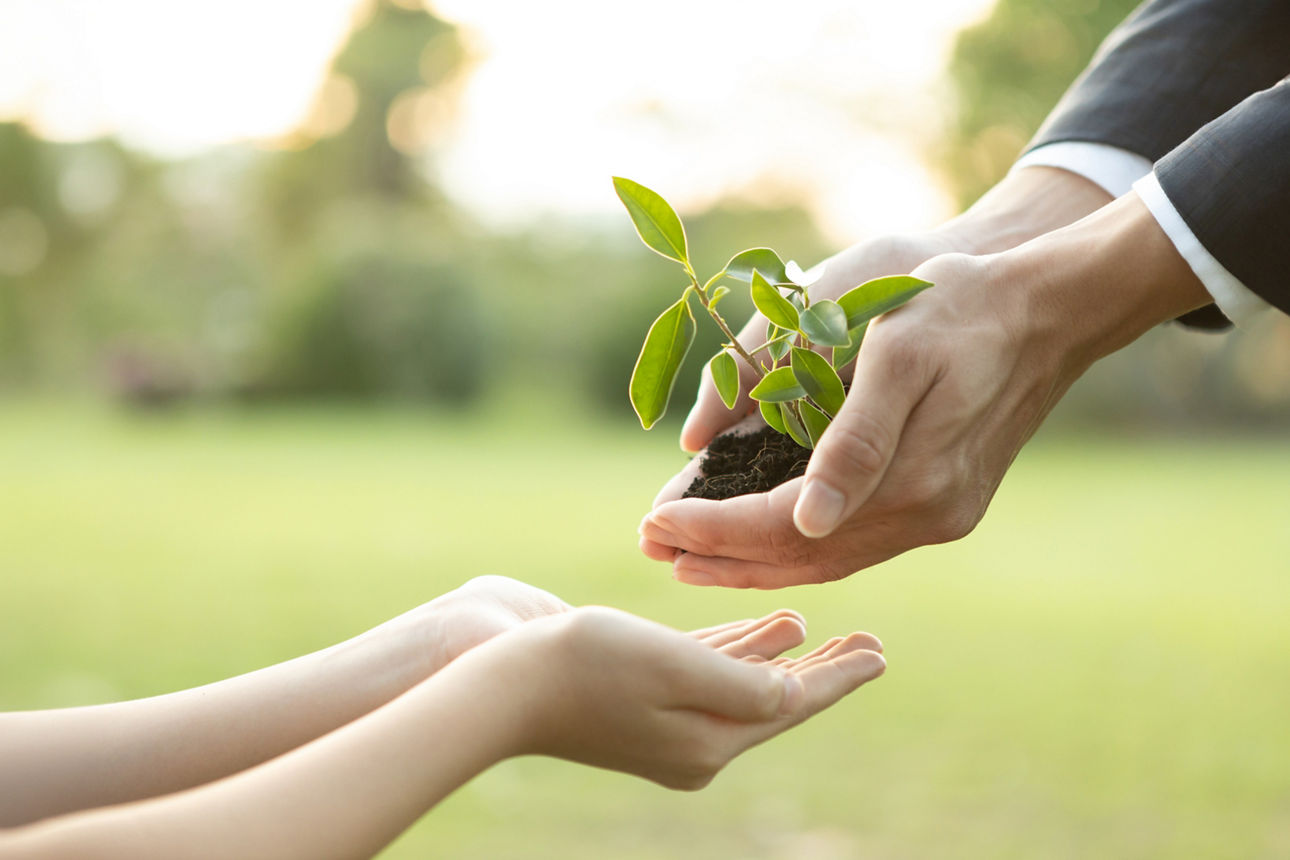 Panorama, businessman handing plant or sprout to young boy as eco company committed to corporate social responsible, reduce CO2 emission and embrace ESG principle for sustainable future.Gyre