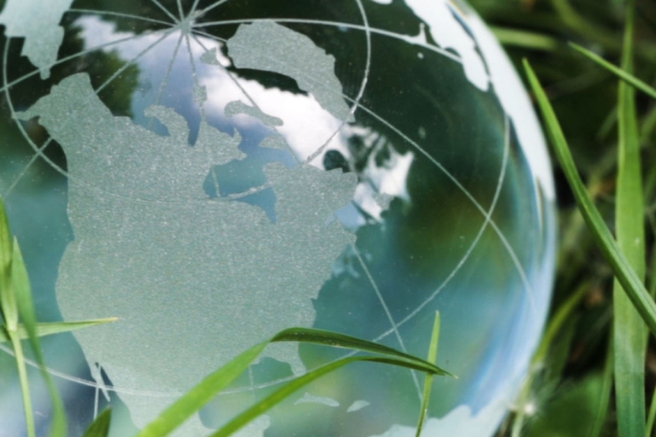 Glaskugel mit Weltkarte auf einer Wiese