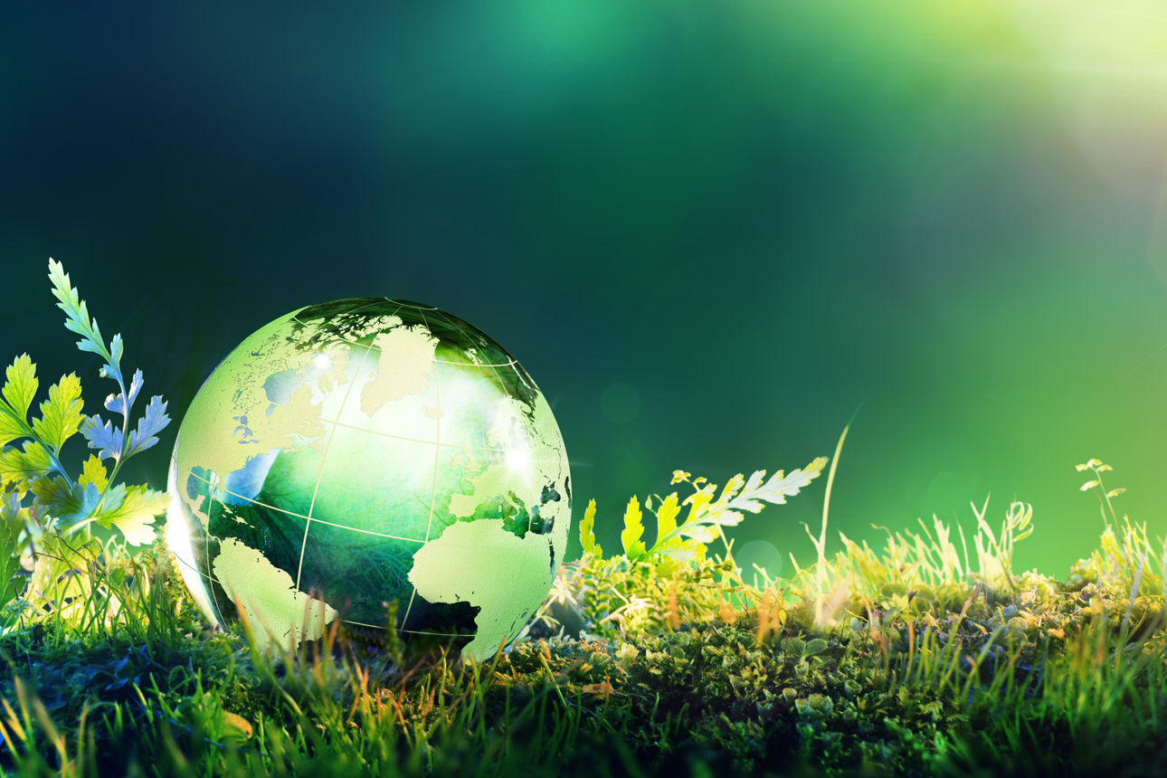 Grüne Weltkugel auf Moos