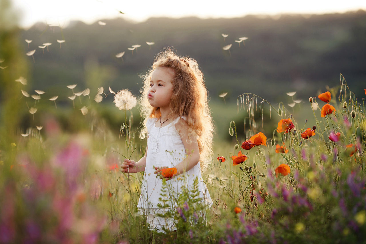 Ein Mädchen steht in einer Blumenwiese und hält eine Pusteblume in der Hand.