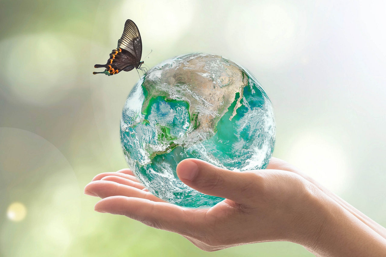 Hand hält einen kleinen Globus, auf dem ein Schmetterling sitzt, symbolisiert Umweltschutz und Nachhaltigkeit