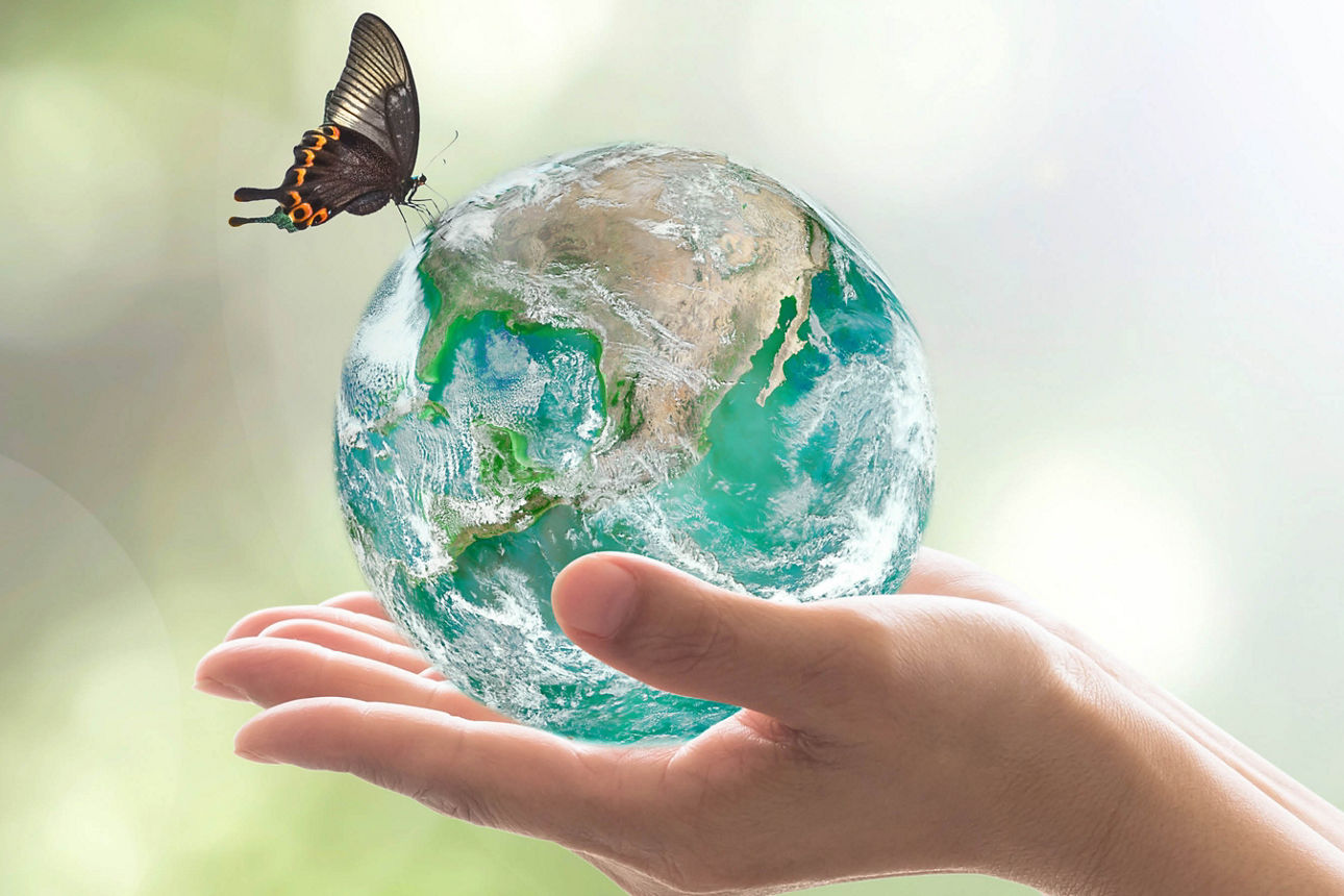 Hand hält einen kleinen Globus, auf dem ein Schmetterling sitzt, symbolisiert Umweltschutz und Nachhaltigkeit