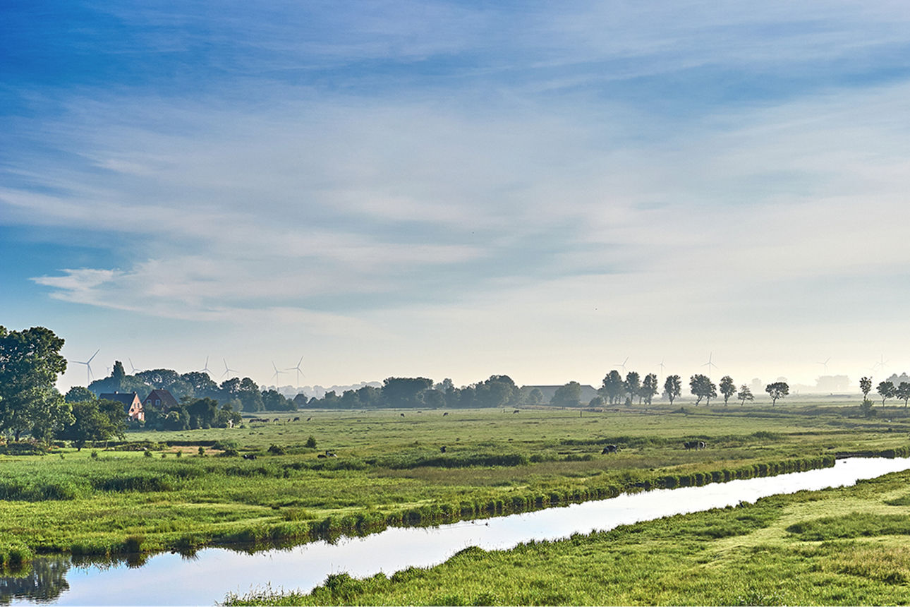 Grüne Wiese, welche durch einen Fluss getrennt wird