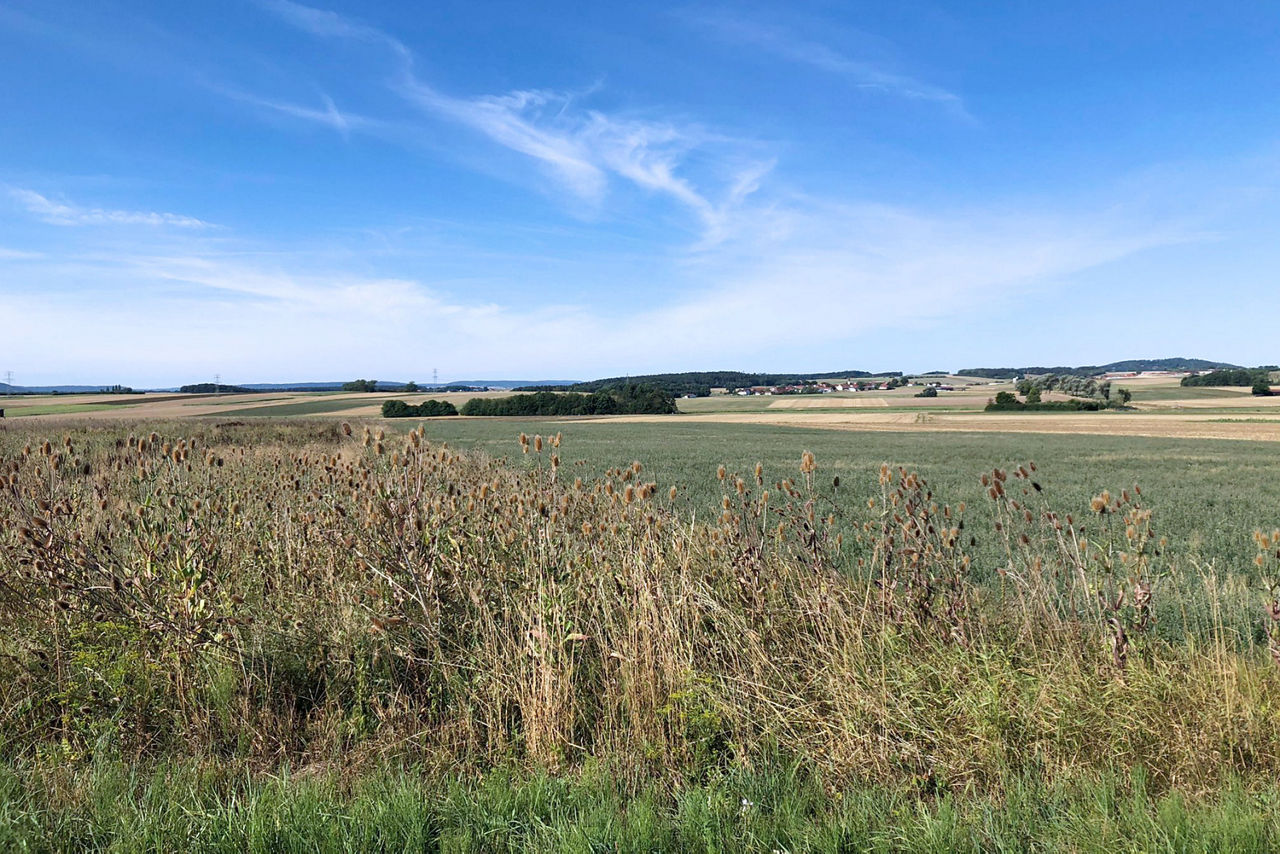 Landschaftsbild mit Wiesen, Äckern und Waldstücken