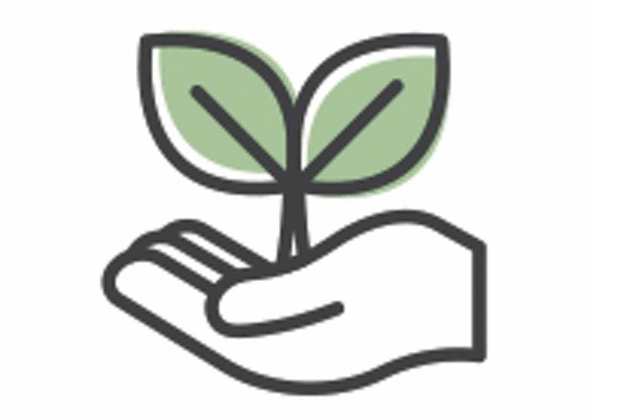 Zeichnung einer linken Hand mit einer zweiblättrigen grünen Pflanze