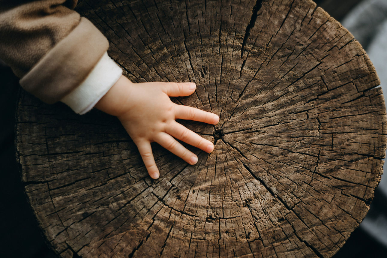 Kinderhand auf einem Baumstamm