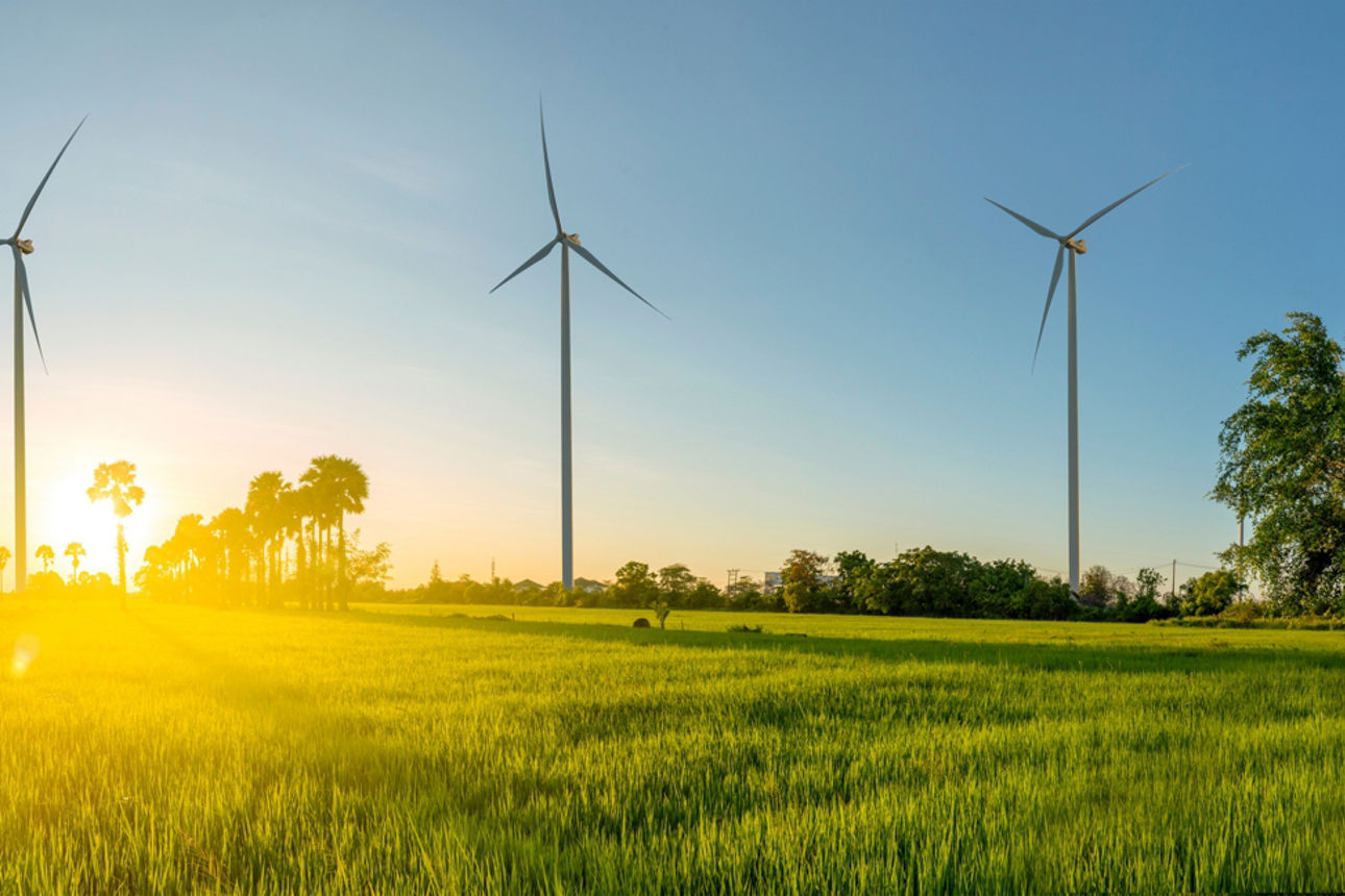 Windkraftanlagen auf einer Wiese bei Sonnenschein