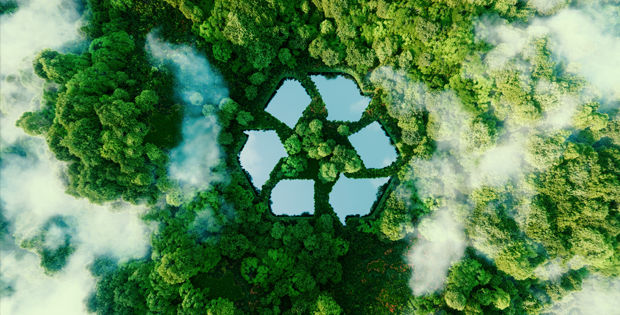 Wald von oben mit Recycling Symbol