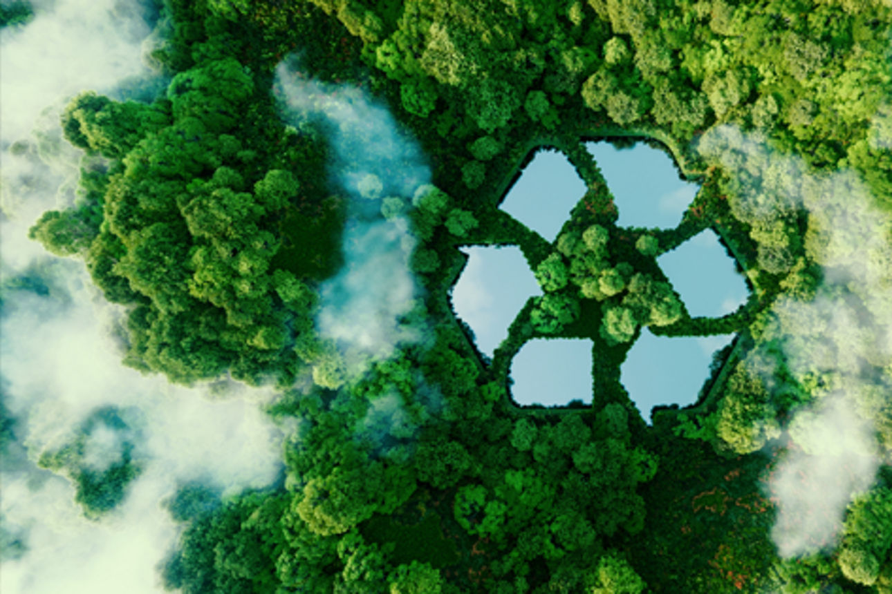 Wald von oben mit Recycling Symbol