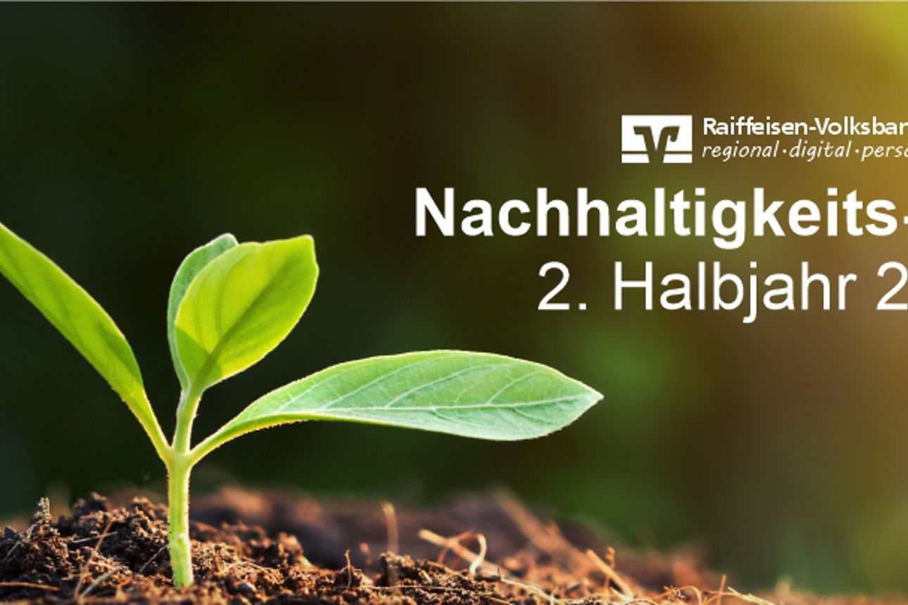 Kleine, grüne Pflanze links, in der Mitte das Logo der RVB und der Schriftzug Nachhaltigkeits-Update 2. Halbjahr 2022