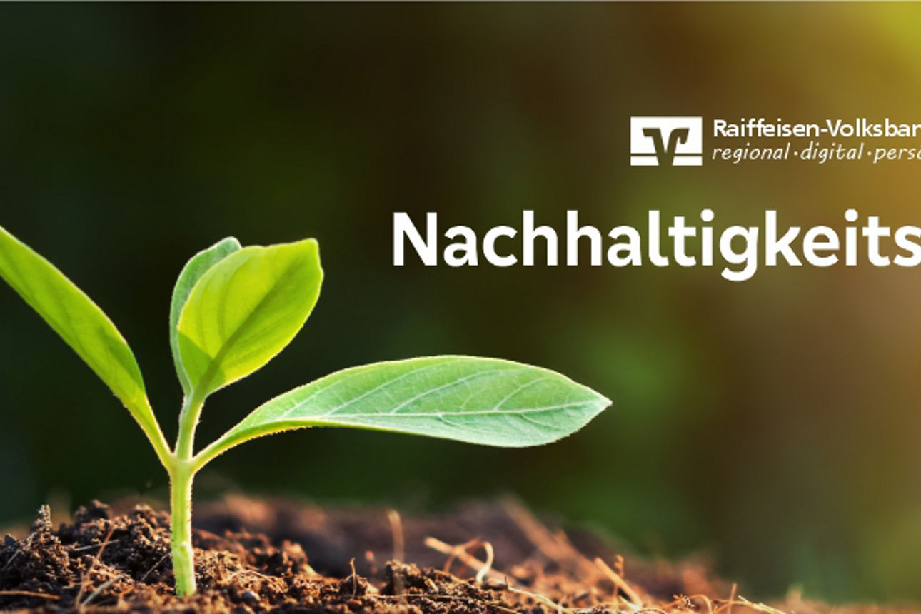 Kleine, grüne Pflanze mit drei Blättern. In der Mitte die Worte Nachhaltigkeits-Update und das Logo der RVB