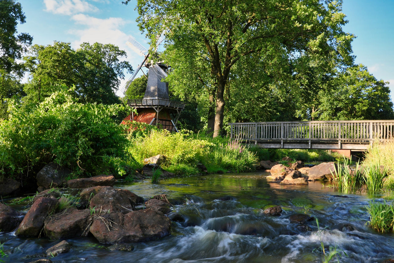 Bild-Alternativer-Text