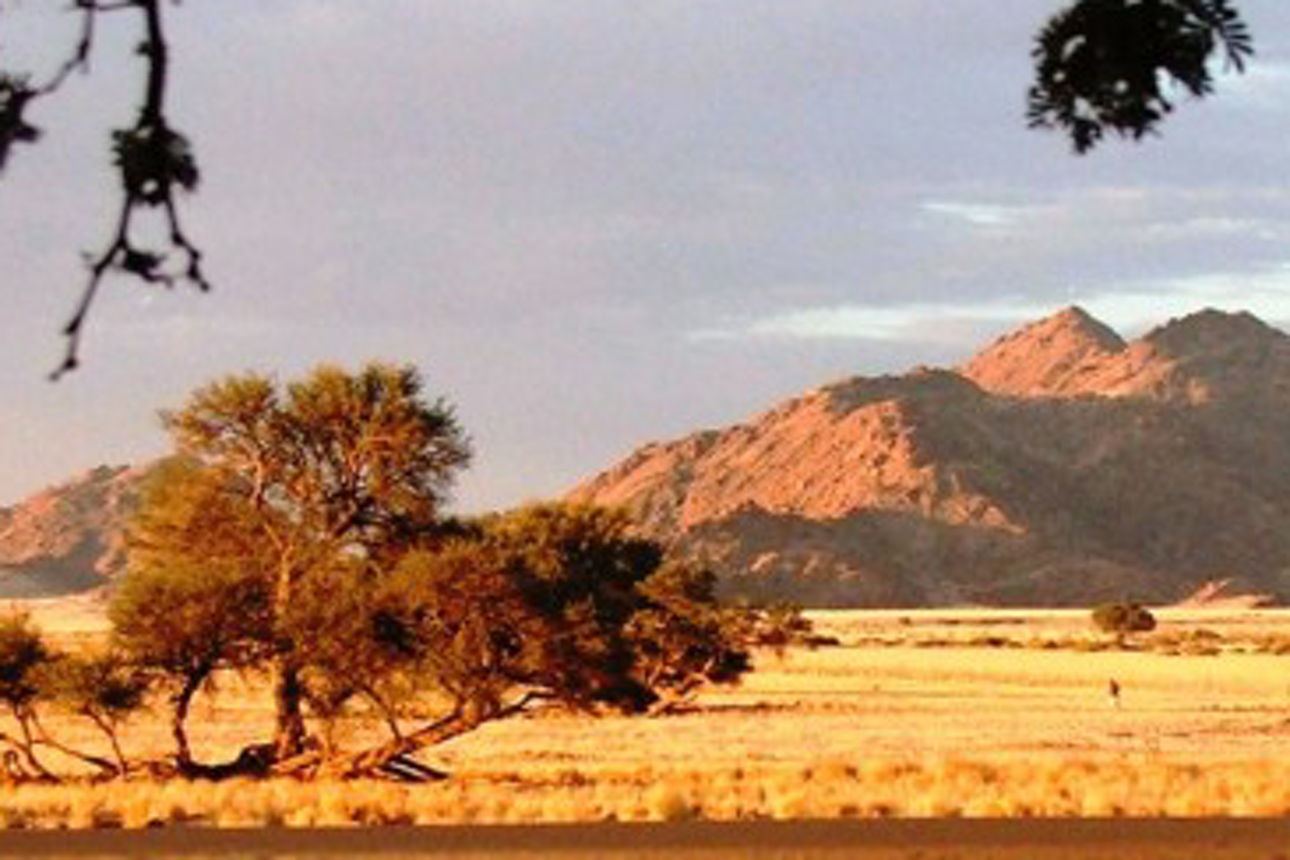 Foto einer Landschaft in Namibia