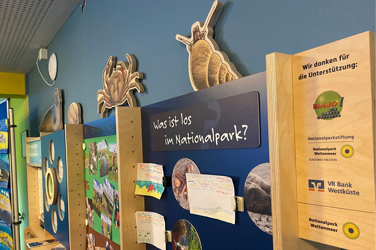 30 weitere Nationalpark-Ecken für Kitas und -Schulen