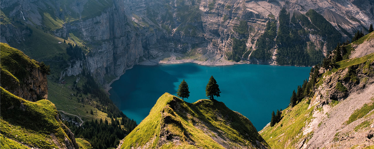 Bildquelle: istock.com/sophiedover