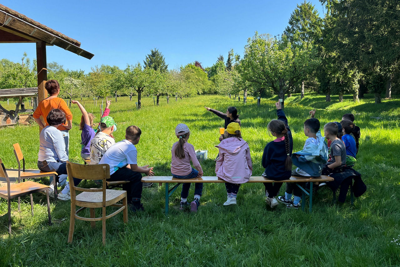 Kinder sitzen auf einer Bank auf einer Wiese mit Bäumen