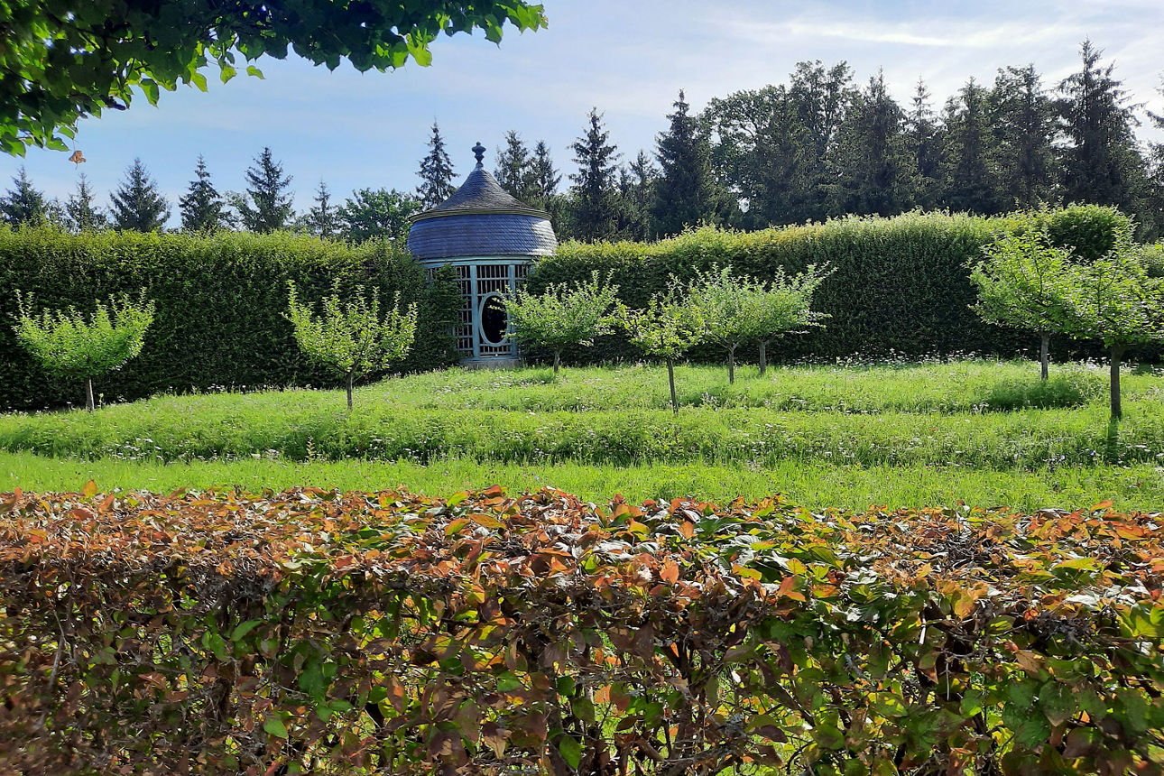 "Auf gute Nachbarschaft! Die grüne Gartengrenze." lautet das Motto des Naturschutzpreis 2025