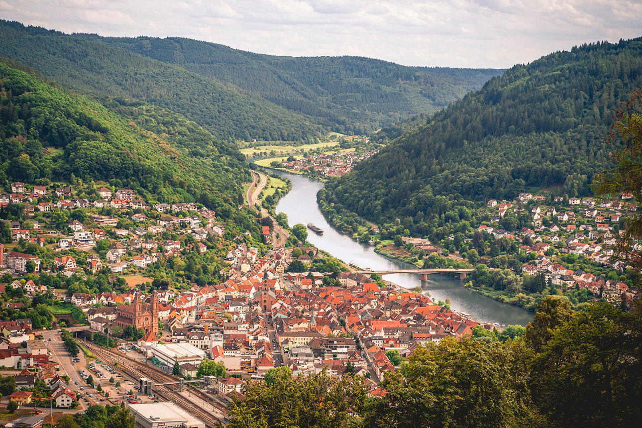 Blick auf die Stadt Eberbach