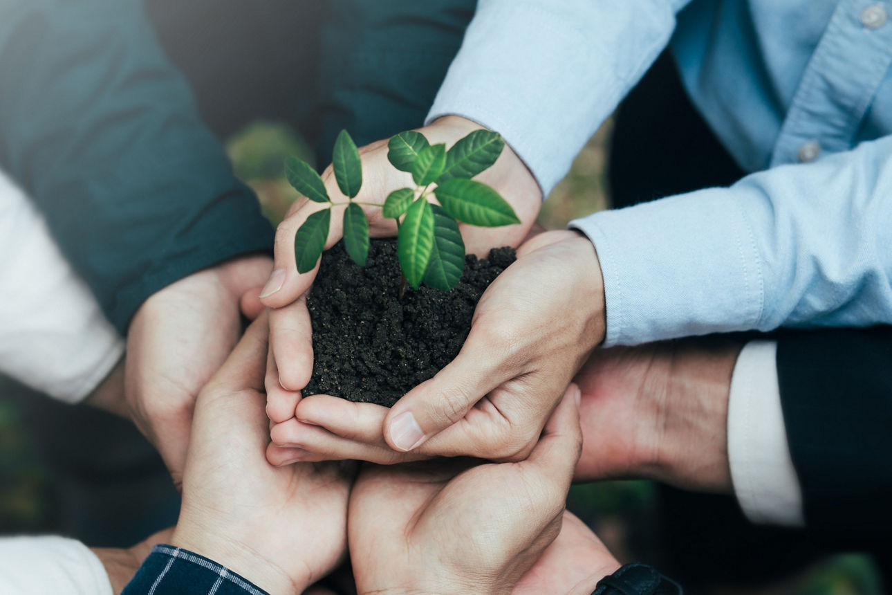 Siegel als Netto-klimaneutrales Unternehmen 2024