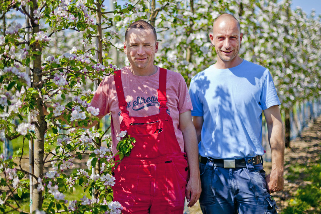 Roberto und Reinhard Geier vor Obstbäumen auf einer Plantage
