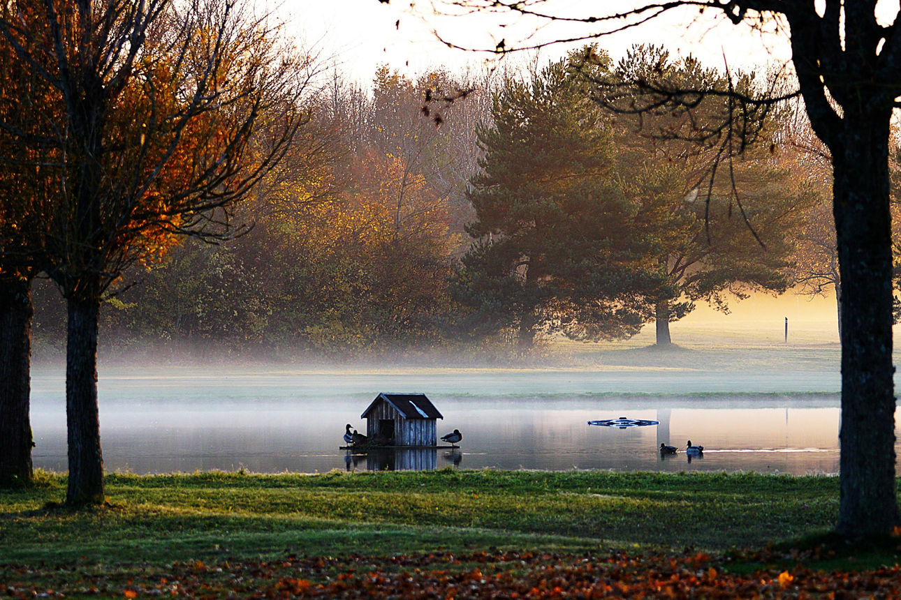 See mit Entenhaus umringt von herbstlichen Bäumen