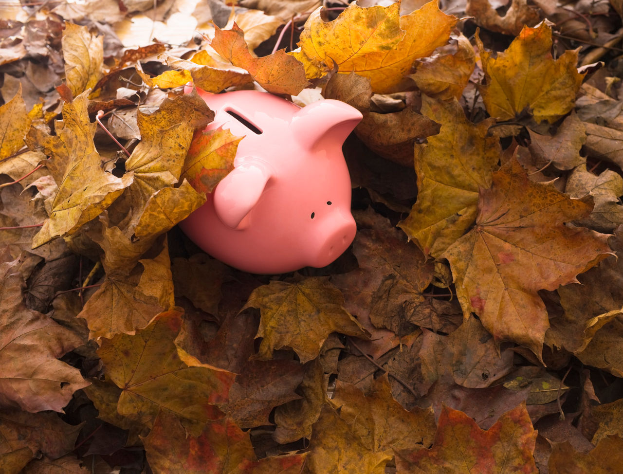 Oktober Titelbild Sparschwein im Laub