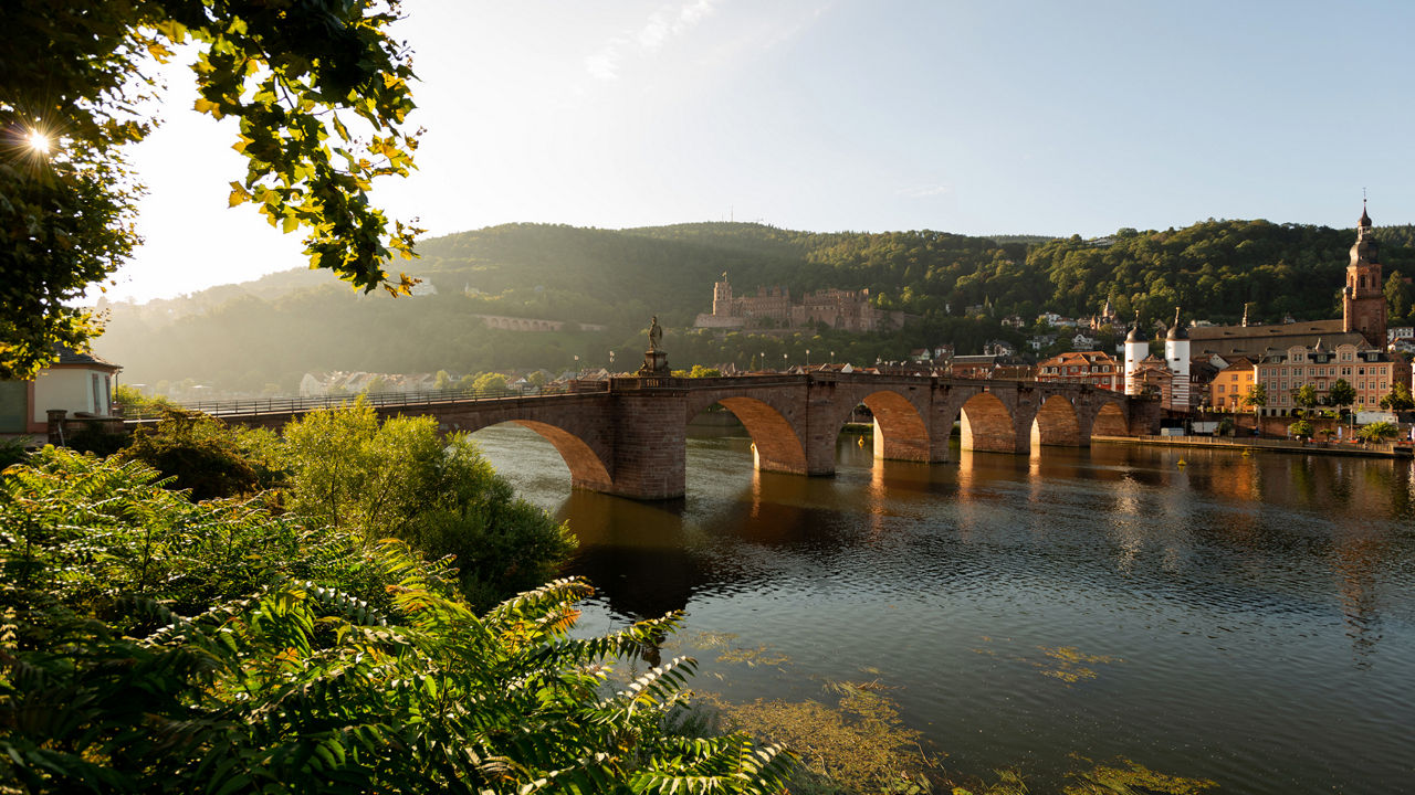Heidelberg in der Morgendämmerung