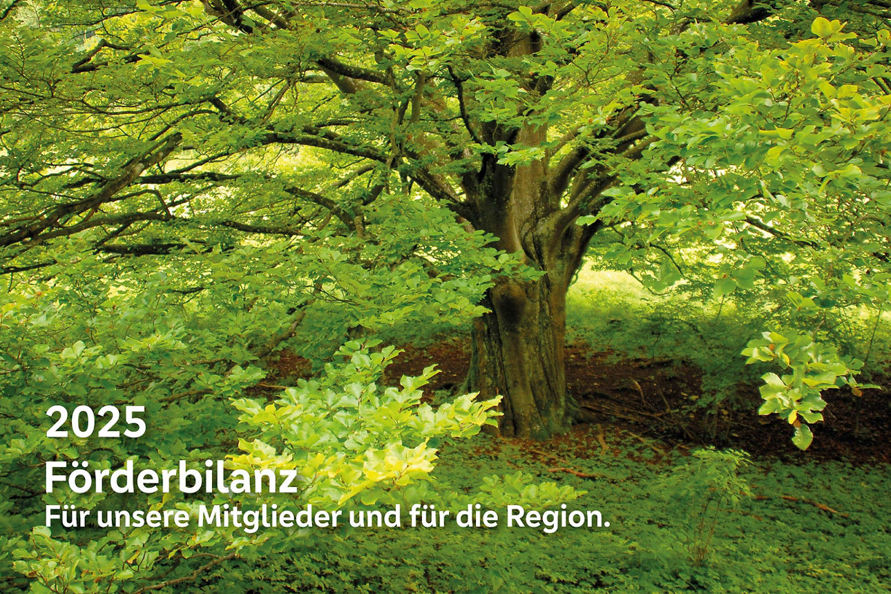 Bild eines grünen Waldes mt dem Text 2025 Förderbilanz Für unsere Miglieder und für die Region