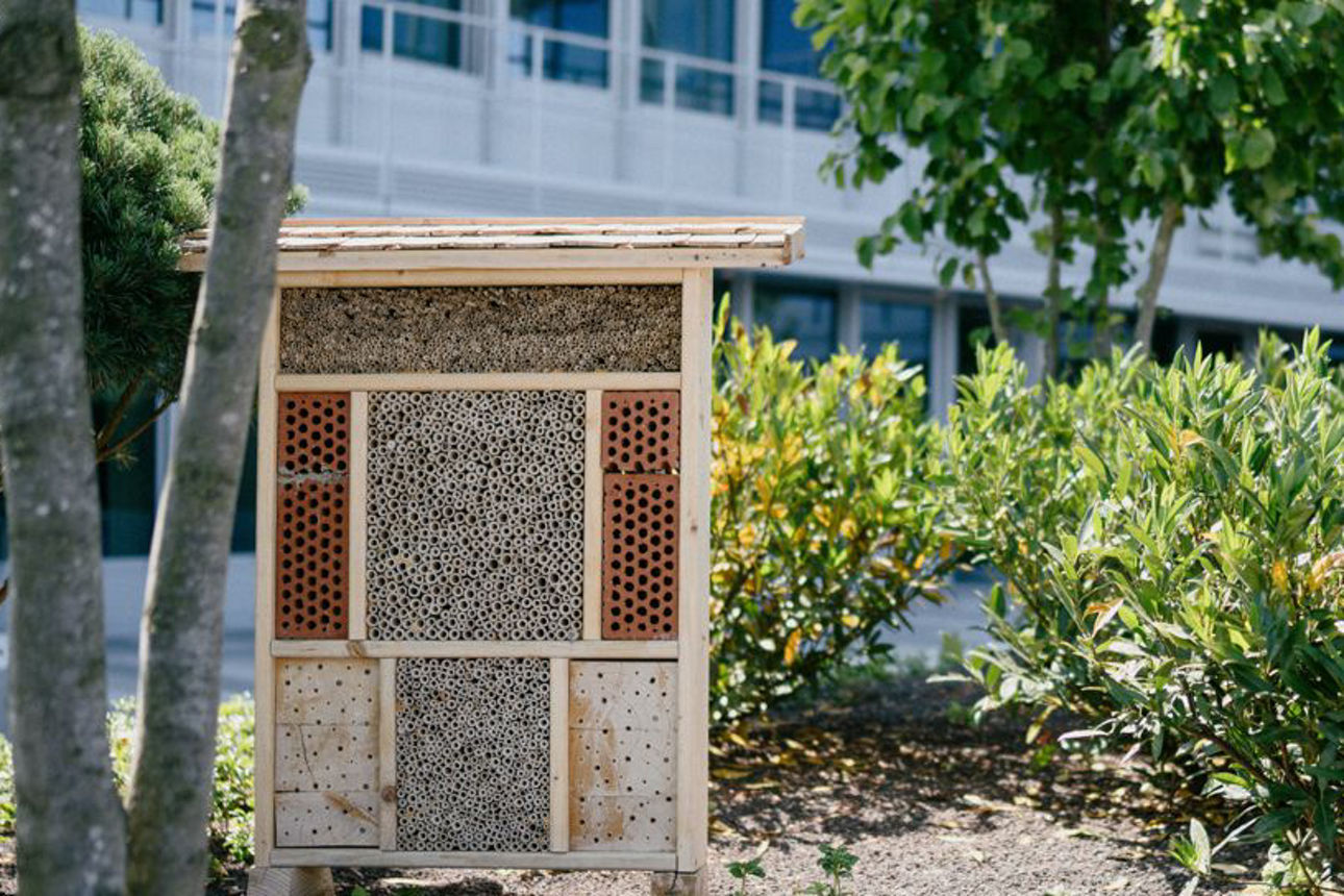 Dachgarten mit Insektenhotel auf dem DonauTower