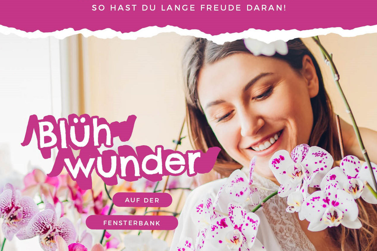 Eine junge Dame mit Orchideen