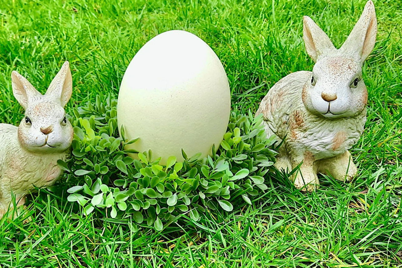 Hasen mit Nandu-Ei in der Mitte