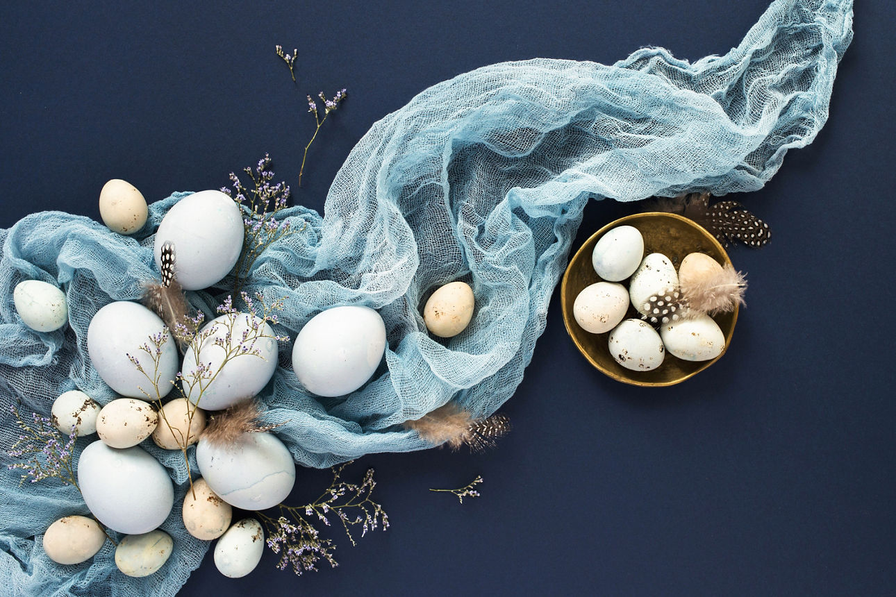 Mehrere weiße und beige Eier liegen auf dunkelblauem Untergrund neben einem hellblauen, transparenten Stoff und getrockneten Pflanzen