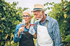 Couple drinking some wine outdoors while working on the filed of grape