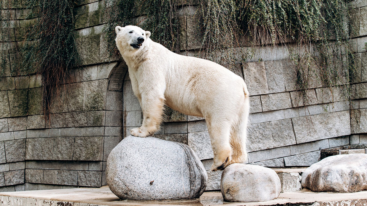Zoologischer Stadtgarten Karlsruhe