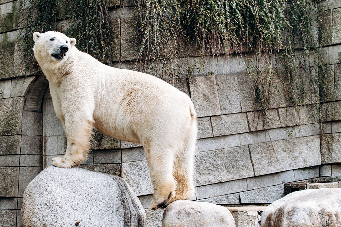 Zoologischer Stadtgarden Karlsruhe