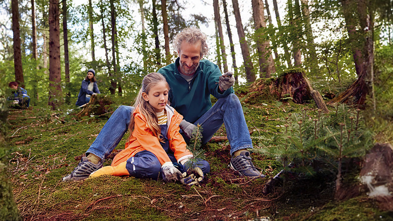 Vater und Tochter pflanzen Baum im Wald.