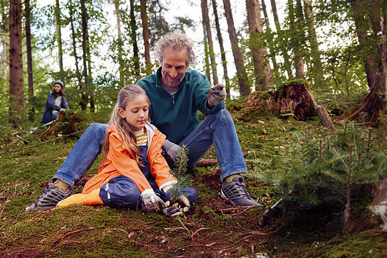 Vater und Tochter pflanzen Baum im Wald.