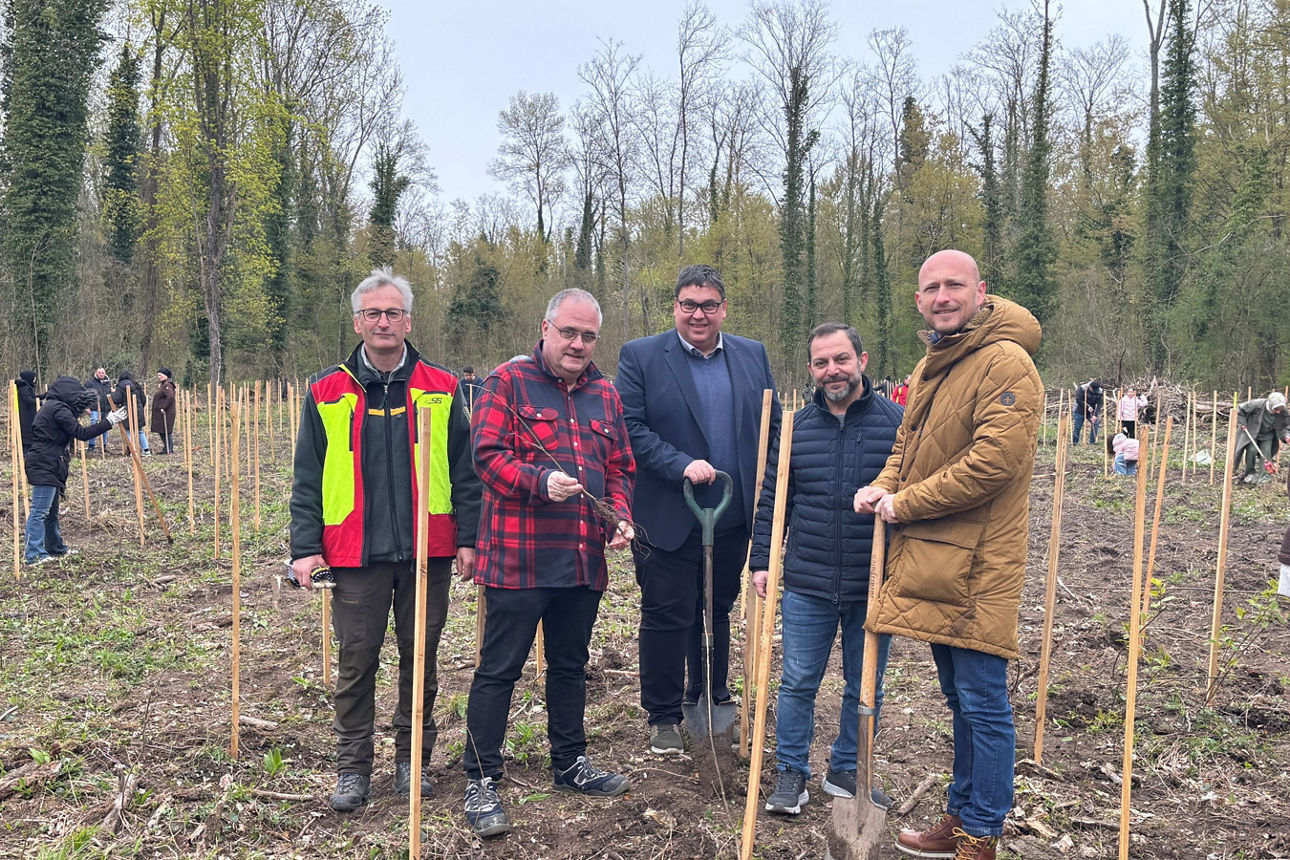 Fünf engagierte Helfer im Rahmen der Baumpflanzaktion im Philipssburger Wald.
