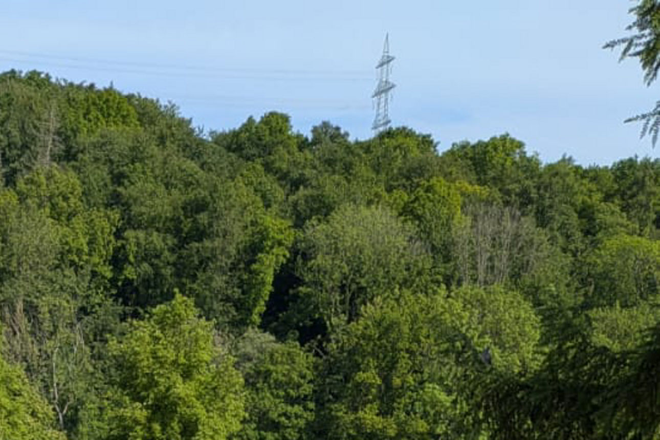 1FWH Laubach 5