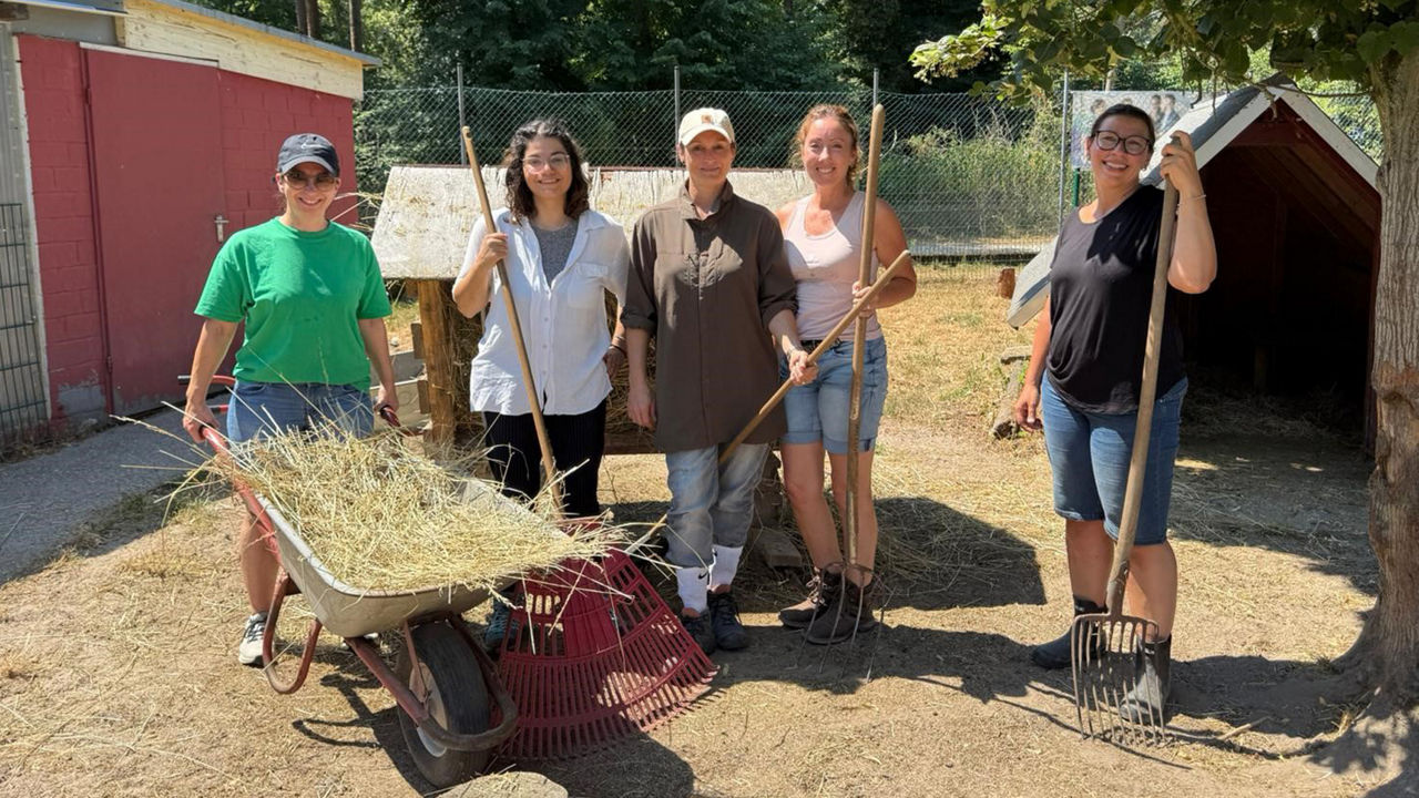 Fünf Mitarbeitende, die neben einer Schubkarre voller altem Stroh posieren, nachdem sie das Ziegengehege ausgemistet haben.
