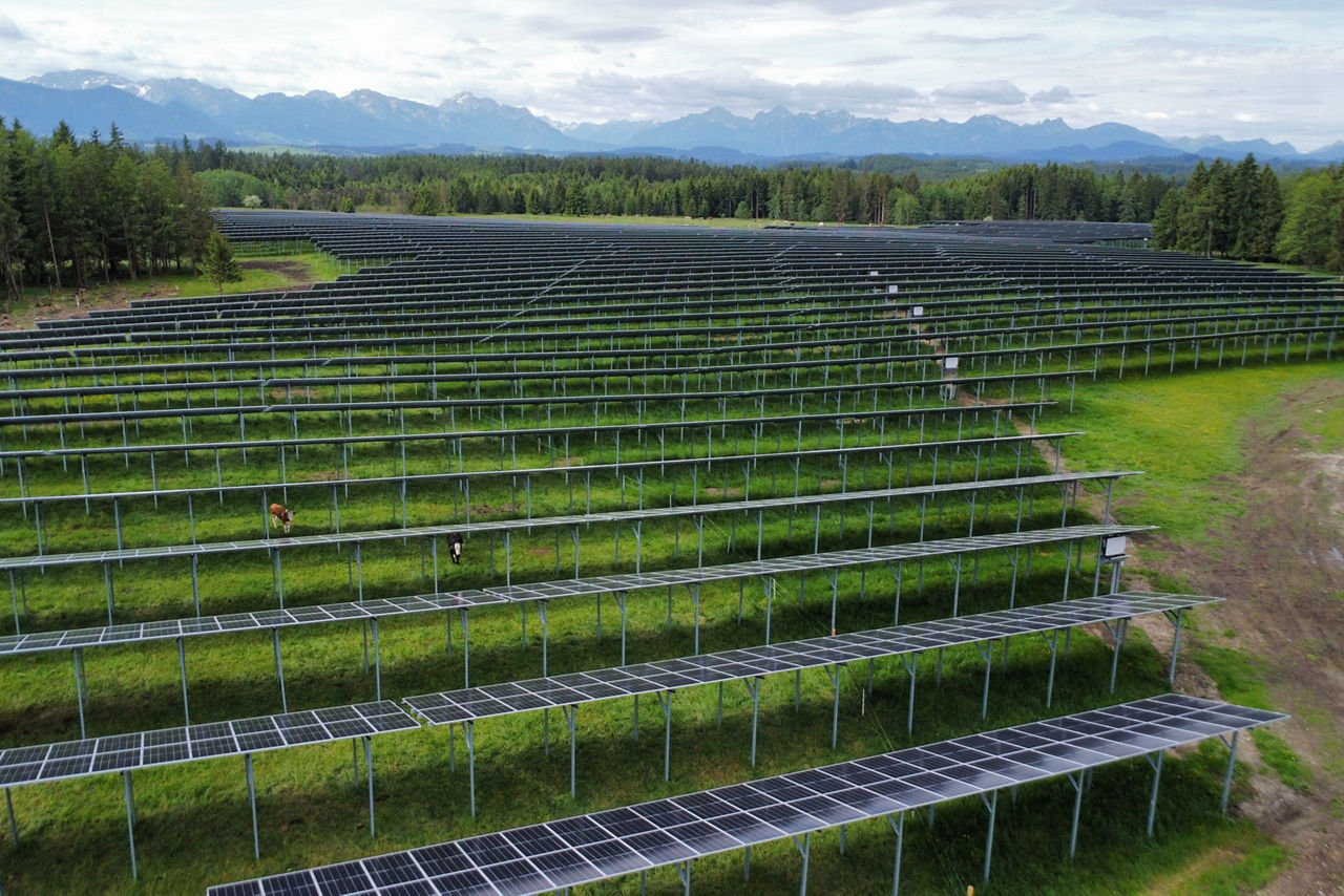 Blick auf die Agri-PV-Anlage