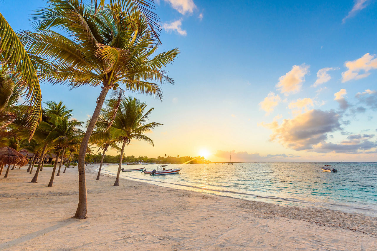 Sonnenaufgang am Palmenstrand